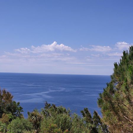 Casa De Somma Διαμέρισμα Forio di Ischia Εξωτερικό φωτογραφία