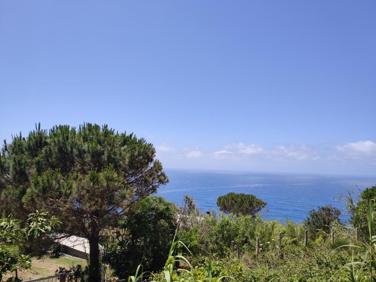 Casa De Somma Διαμέρισμα Forio di Ischia Εξωτερικό φωτογραφία